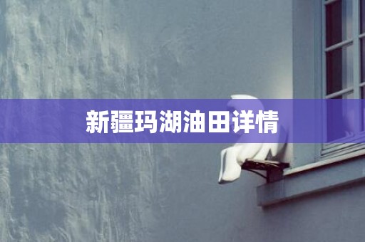 新疆玛湖油田详情