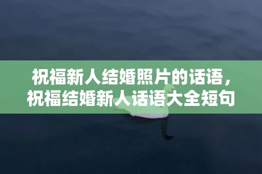 祝福新人结婚照片的话语，祝福结婚新人话语大全短句子