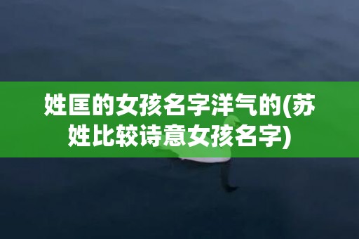 姓匡的女孩名字洋气的(苏姓比较诗意女孩名字)