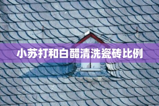 小苏打和白醋清洗瓷砖比例