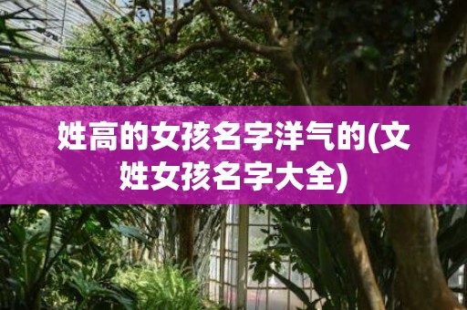 姓高的女孩名字洋气的(文姓女孩名字大全)