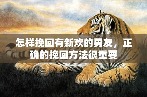怎样挽回有新欢的男友，正确的挽回方法很重要