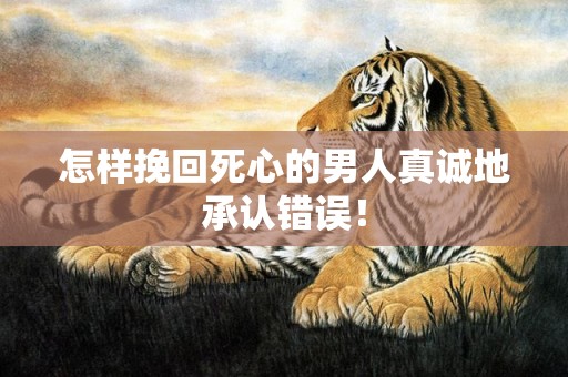 怎样挽回死心的男人真诚地承认错误！