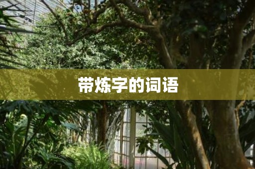 带炼字的词语