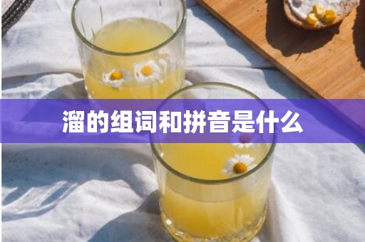 溜的组词和拼音是什么