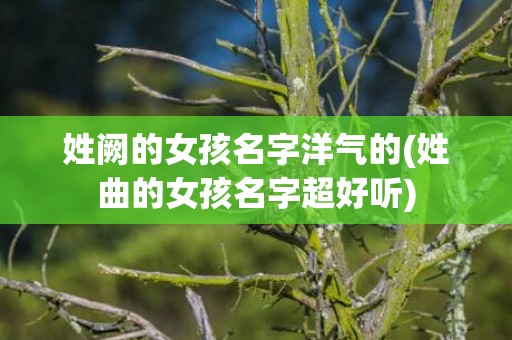 姓阙的女孩名字洋气的(姓曲的女孩名字超好听)