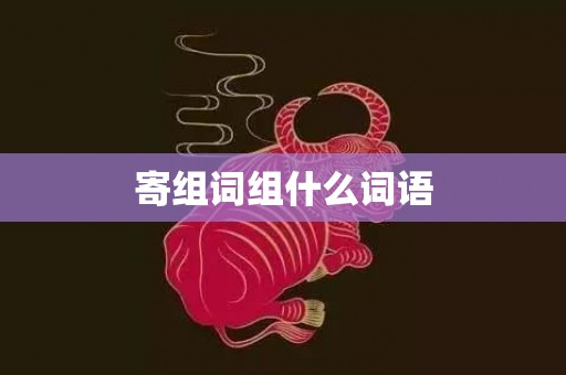 寄组词组什么词语