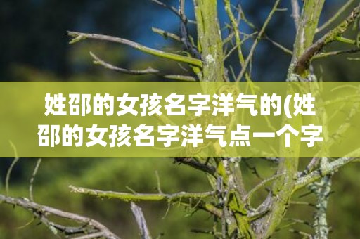 姓邵的女孩名字洋气的(姓邵的女孩名字洋气点一个字)