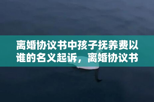 离婚协议书中孩子抚养费以谁的名义起诉，离婚协议书中孩子的归属权和抚养权
