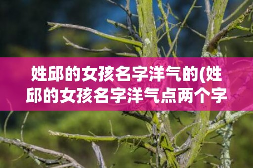 姓邱的女孩名字洋气的(姓邱的女孩名字洋气点两个字)