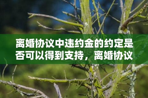 离婚协议中违约金的约定是否可以得到支持，离婚协议中违约金的约定是否可以得到支持