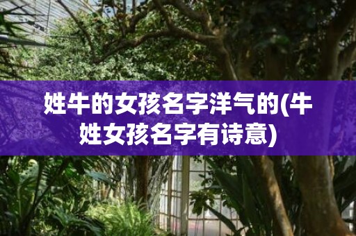 姓牛的女孩名字洋气的(牛姓女孩名字有诗意)