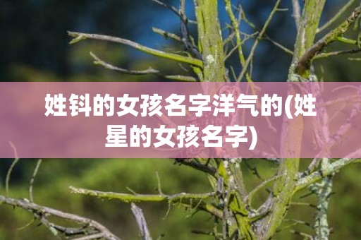 姓钭的女孩名字洋气的(姓星的女孩名字)