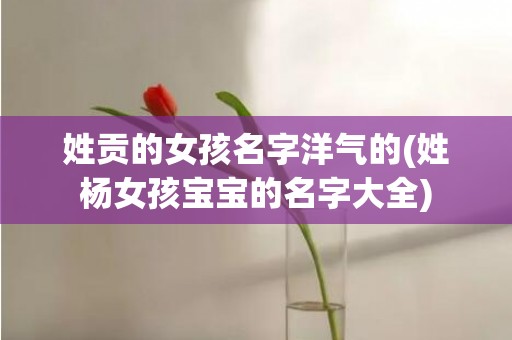 姓贡的女孩名字洋气的(姓杨女孩宝宝的名字大全)
