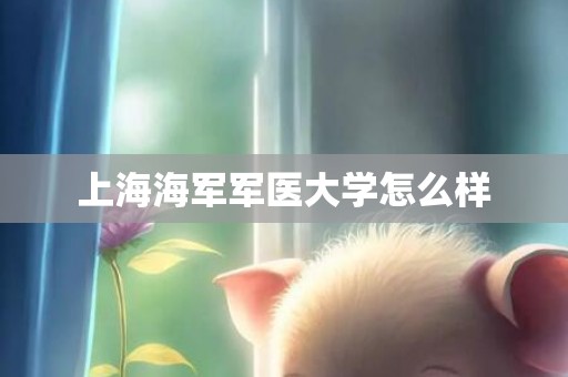 上海海军军医大学怎么样