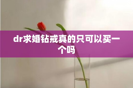 dr求婚钻戒真的只可以买一个吗