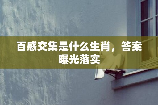 百感交集是什么生肖，答案曝光落实