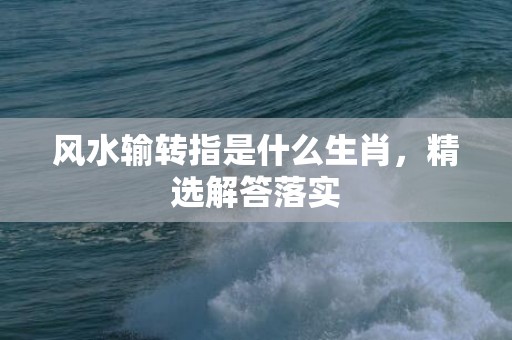 风水输转指是什么生肖，精选解答落实