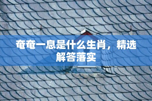 奄奄一息是什么生肖，精选解答落实
