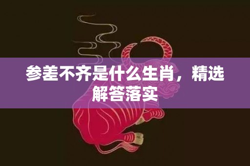 参差不齐是什么生肖，精选解答落实