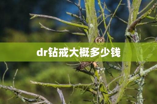 dr钻戒大概多少钱