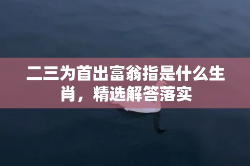 二三为首出富翁指是什么生肖，精选解答落实