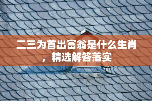 二三为首出富翁是什么生肖，精选解答落实