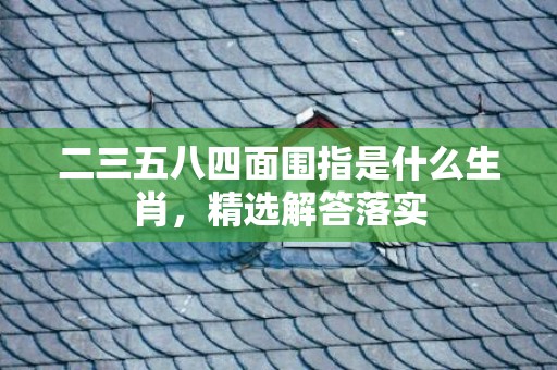 二三五八四面围指是什么生肖，精选解答落实