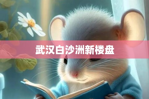 武汉白沙洲新楼盘