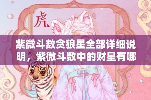 紫微斗数贪狼星全部详细说明，紫微斗数中的财星有哪些，