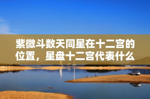 紫微斗数天同星在十二宫的位置，星盘十二宫代表什么意思，