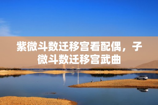 紫微斗数迁移宫看配偶，子微斗数迁移宫武曲