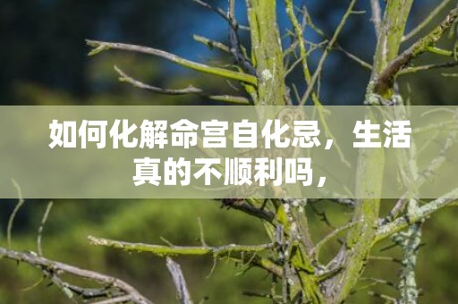 如何化解命宫自化忌，生活真的不顺利吗，