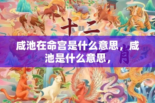 咸池在命宫是什么意思，咸池是什么意思，