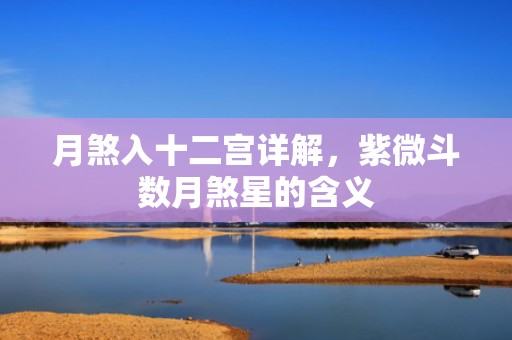 月煞入十二宫详解，紫微斗数月煞星的含义