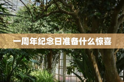 一周年纪念日准备什么惊喜