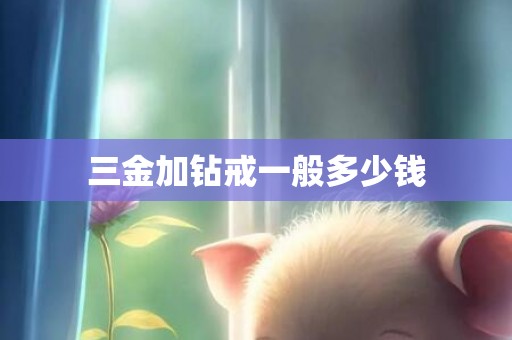 三金加钻戒一般多少钱