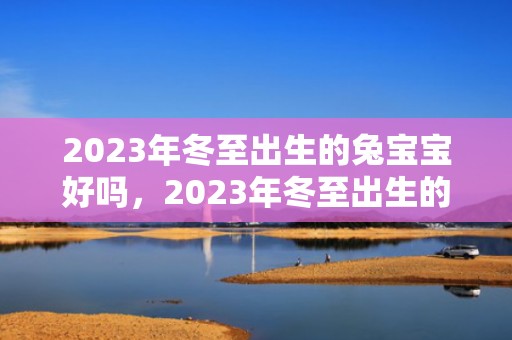 2023年冬至出生的兔宝宝好吗，2023年冬至出生的兔宝宝好不好
