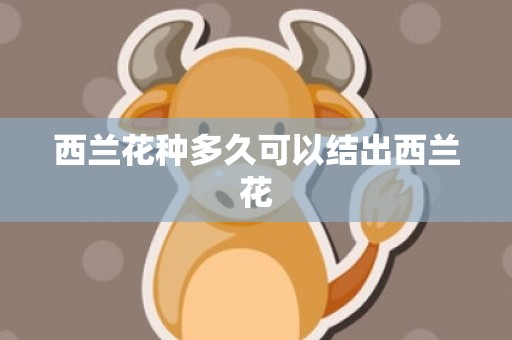 西兰花种多久可以结出西兰花