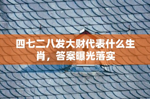 四七二八发大财代表什么生肖，答案曝光落实