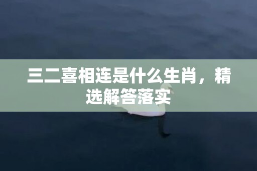 三二喜相连是什么生肖，精选解答落实
