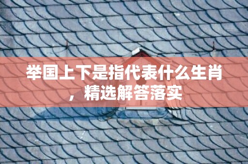 举国上下是指代表什么生肖，精选解答落实