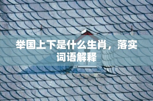 举国上下是什么生肖，落实词语解释