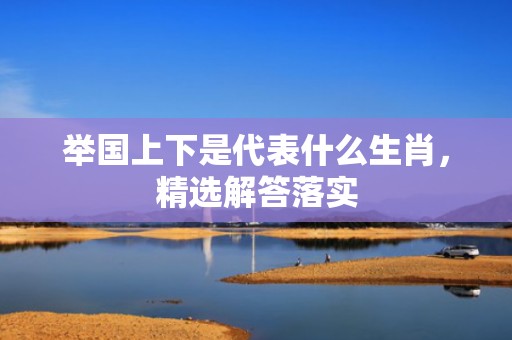 举国上下是代表什么生肖，精选解答落实