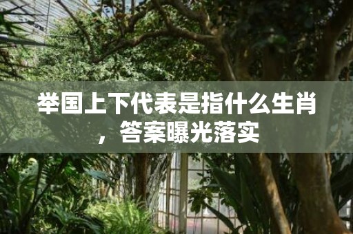 举国上下代表是指什么生肖，答案曝光落实
