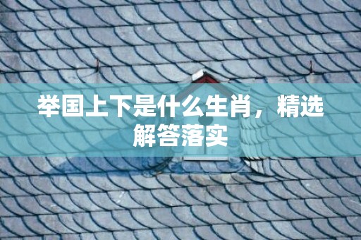举国上下是什么生肖，精选解答落实