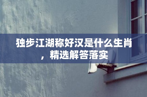 独步江湖称好汉是什么生肖，精选解答落实