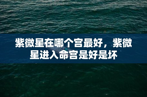 紫微星在哪个宫最好，紫微星进入命宫是好是坏