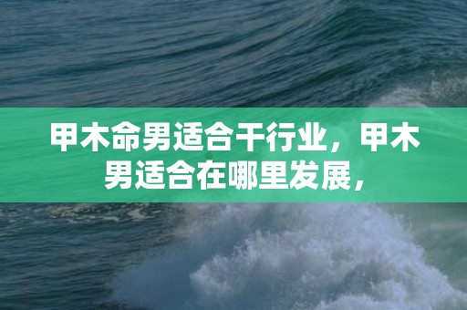 甲木命男适合干行业，甲木男适合在哪里发展，