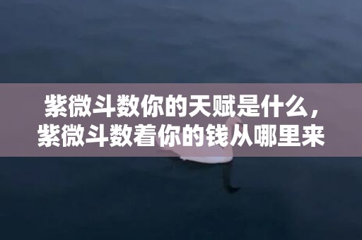 紫微斗数你的天赋是什么，紫微斗数着你的钱从哪里来
